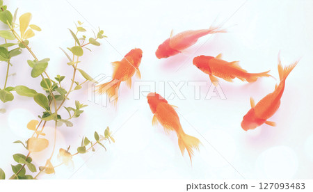 Background material of summer image with goldfish swimming 127093483