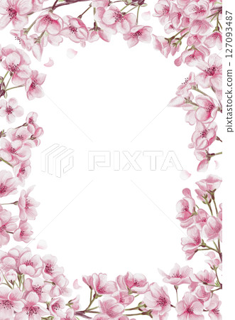 Cherry blossom frame. Sakura blossom. Small pink flowers. Petals and branches. Spring festival. Watercolor illustration without background. Hand drawing. High quality illustration 127093487