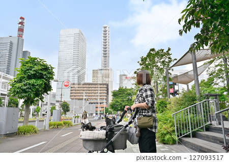 A woman walking and shopping with her pet dog (Saitama New Urban Center, Saitama Prefecture) Chihuahua A woman walking and shopping with her pet dog (Saitama New Urban Center, Saitama Prefecture) Chihuahua 127093517