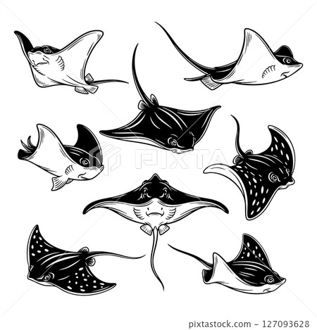 Collection of stingrays and manta rays in black and white vector style. Various swimming poses, perfect for ocean themed art, tattoos, or logos. Fish, Animals. 127093628