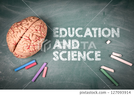 Education and Science Concept. Brain Model and Chalk 127093914