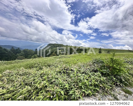 美原高原的廣闊草原與初夏的天空 127094062