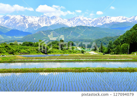 從白馬村野平地區（長野縣白馬村）眺望白馬岩岳度假村和白馬三山 [2025年6月] 127094079
