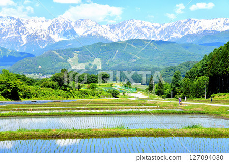 從白馬村野平地區（長野縣白馬村）眺望白馬岩岳度假村和白馬三山 [2025年6月] 127094080
