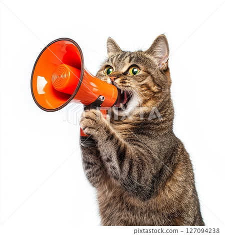 Tabby cat with orange megaphone on white background Tabby cat with orange megaphone on white background 127094238