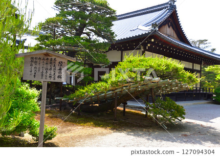 六園禪寺 - 六州松 127094304