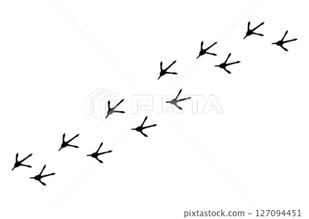 Bird footprint chicken foot track, feet print, paw step hand drawn doodle. Sketch simple turkey, hen trail. Crow walk steps mark. 127094451