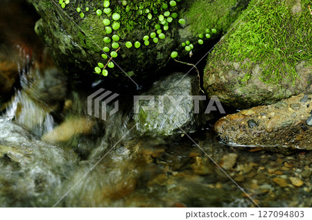 Stream water flow Stream water flow 127094803