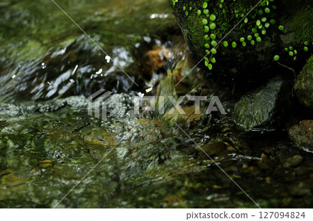 Stream water flow Stream water flow 127094824