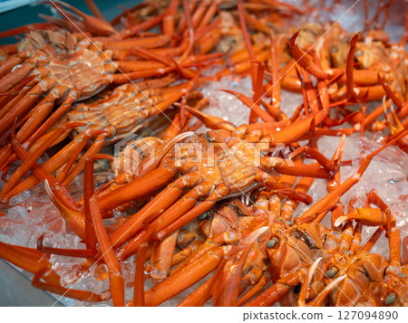 紅雪蟹（新潟縣寺泊魚市街） 127094890