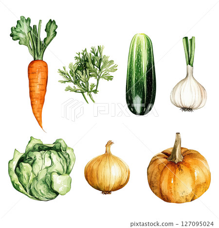 Watercolor vector set of vegetables 127095024