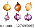 Watercolor vector set of yellow and red onions 127095065