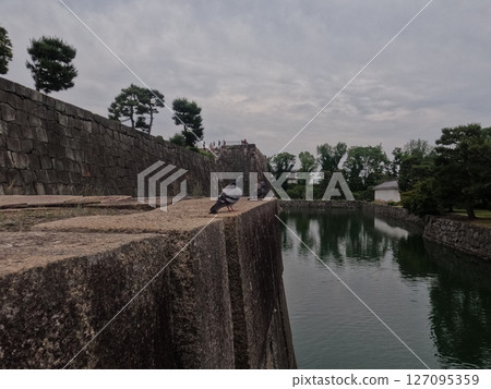 京都府二條城 京都府二條城 127095359