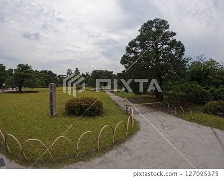Nijo Castle, Kyoto Prefecture 127095375