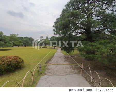 Nijo Castle, Kyoto Prefecture 127095376