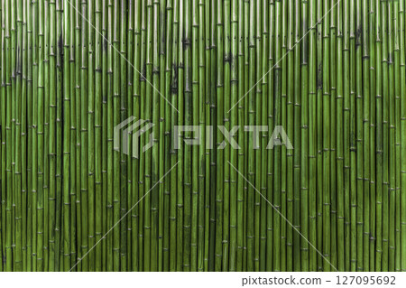 Green Bamboo Wall Background texture 127095692