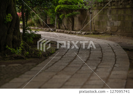 鋪路石 127095741