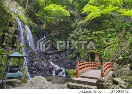 我去了犬鳴山的七寶龍寺，這是一座被翠綠環繞的修行聖地。 127095802