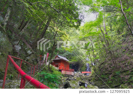 我去了犬鳴山的七寶龍寺，這是一座被翠綠環繞的修行聖地。 127095925