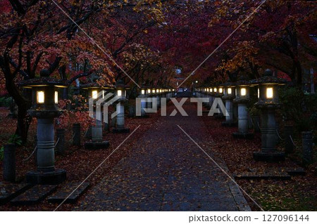 高山寺的秋葉 127096144