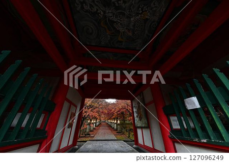高山寺的秋葉 高山寺的秋葉 127096249