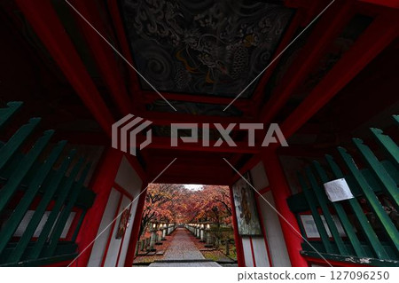 Autumn leaves of Takayama-ji 127096250