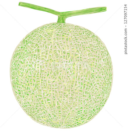 整個甜瓜 127097154