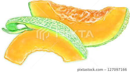 紅肉瓜_裝飾切塊和切片 127097166