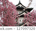 櫻花與神 127097320