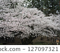 Kan'o局 127097321