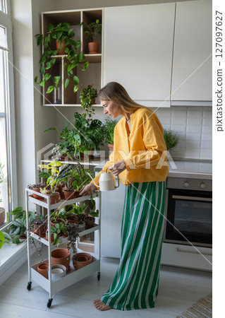 Woman watering potted plants on tray in home kitchen garden. Plant care, indoor horticulture Woman watering potted plants on tray in home kitchen garden. Plant care, indoor horticulture 127097627