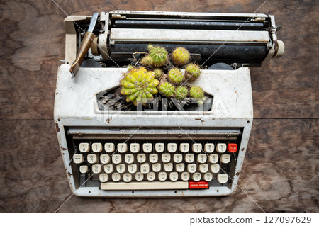 Old typewriter convert in unique cactus flowerpot Decorative reuse of antique machinery, eco idea 127097629