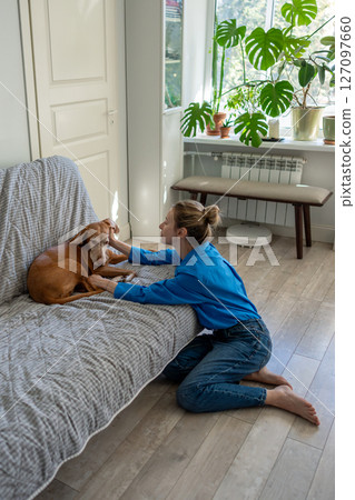 Pet therapy of caring woman owner and lovely dog vizsla, together friendly rest, communication home. Pet therapy of caring woman owner and lovely dog vizsla, together friendly rest, communication home. 127097660