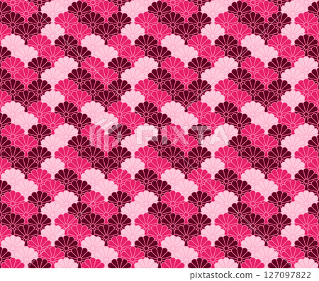 菊花3-25 127097822