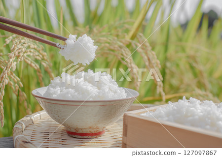 Newly harvested autumn rice, freshly cooked rice and ears of rice Newly harvested autumn rice, freshly cooked rice and ears of rice 127097867