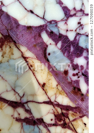 Calacatta Viola marble closeup with deep violet veins and white matrix 127098039