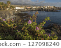 Views of the picturesque Alcala village with traditional architecture houses, small tranquil cove with beach and pier. Pink flowers in foreground, selective focus. Tenerife, Canary Islands, Spain 127098240