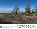 Winter view on volcano Pico del Teide with snow spots from hiking trail Samara. Mountains and lava fields with pine tree forest, blue sky. El Teide National Park, Tenerife, Canary Islands, Spain 127098241