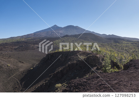 Winter view on volcano Pico del Teide with snow spots from hiking trail Samara. Mountains and lava fields with pine tree forest, blue sky. El Teide National Park, Tenerife, Canary Islands, Spain 127098253