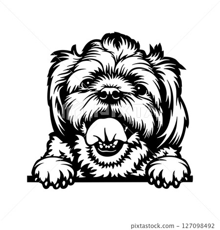 Yorkshire Terrier Dog - Peeking Dog Breed - Pet Dog Vector Portrait, Dog Silhouette Stencil 127098492