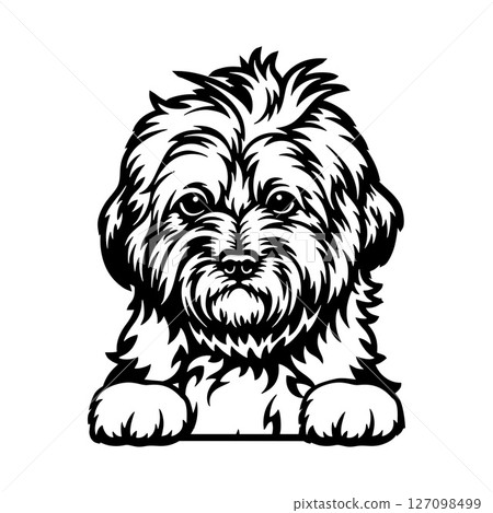 Goldendoodle Dog - Peeking Dog Breed - Pet Dog Vector Portrait, Dog Silhouette Stencil 127098499