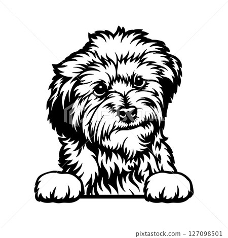 Goldendoodle Dog - Peeking Dog Breed - Pet Dog Vector Portrait, Dog Silhouette Stencil 127098501