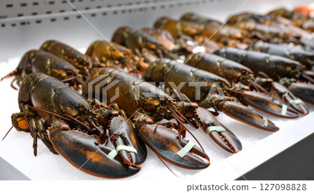 海鮮 新鮮食品 蝦 海鮮 新鮮食品 蝦 127098828