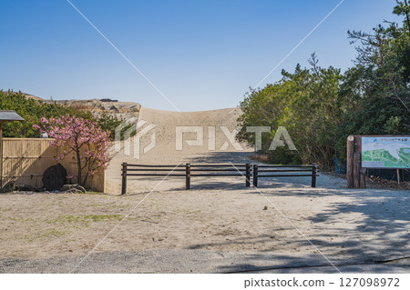 靜岡縣御前崎市濱岡沙丘的景色 靜岡縣御前崎市濱岡沙丘的景色 127098972