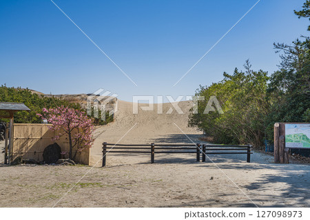 A view of Hamaoka Sand Dunes in Omaezaki City (Shizuoka Prefecture) 127098973