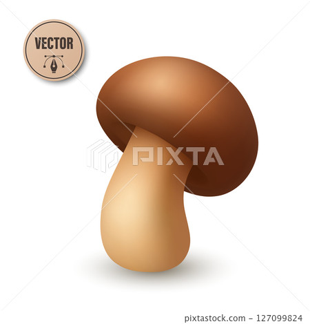 Cute Vector 3D Realistic Mushroom Icon. Cartoon Fungi Illustrations Closeup Isolated on White Background. Mushroom Fungi Clipart, Design Template for Nature Botanical Concept 127099824