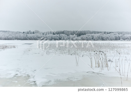 a frozen lake and a forest in frost around the lake, winter fairy tale in the forest, snow-covered tree branches, large flakes of snow are slowly falling, nobody 127099865