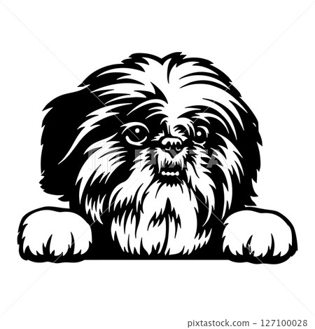 Shih Tzu Dog - Peeking Dog Breed - Pet Dog Vector Portrait, Dog Silhouette Stencil Shih Tzu Dog - Peeking Dog Breed - Pet Dog Vector Portrait, Dog Silhouette Stencil 127100028