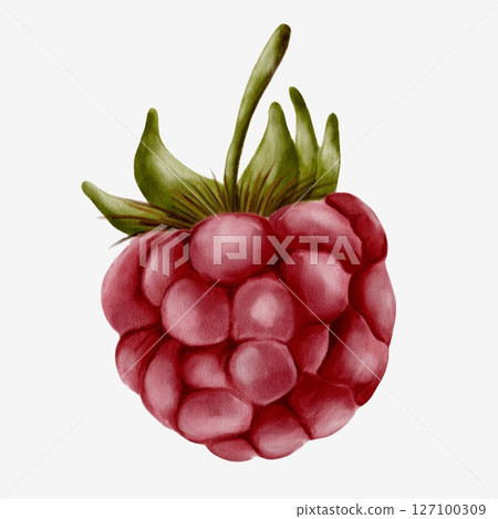 Raspberry watercolor pattern for textile and wrapping design with seamless repeat style Raspberry watercolor pattern for textile and wrapping design with seamless repeat style 127100309