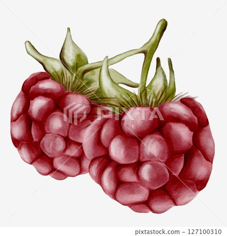 Colorful watercolor raspberry pattern for textile and wrapping design 127100310